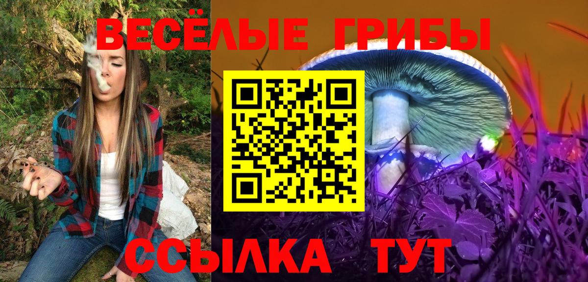 Галлюциногенные грибы GOLDEN TEACHER Рассказово