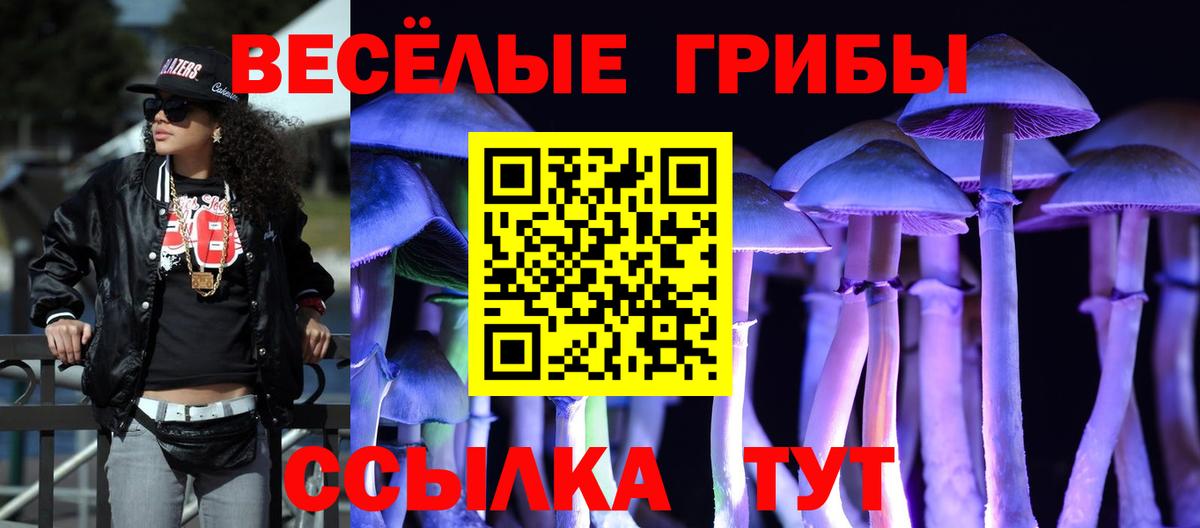 Галлюциногенные грибы Psilocybine cubensis  Вход с VPN  как найти наркотики  Рассказово 